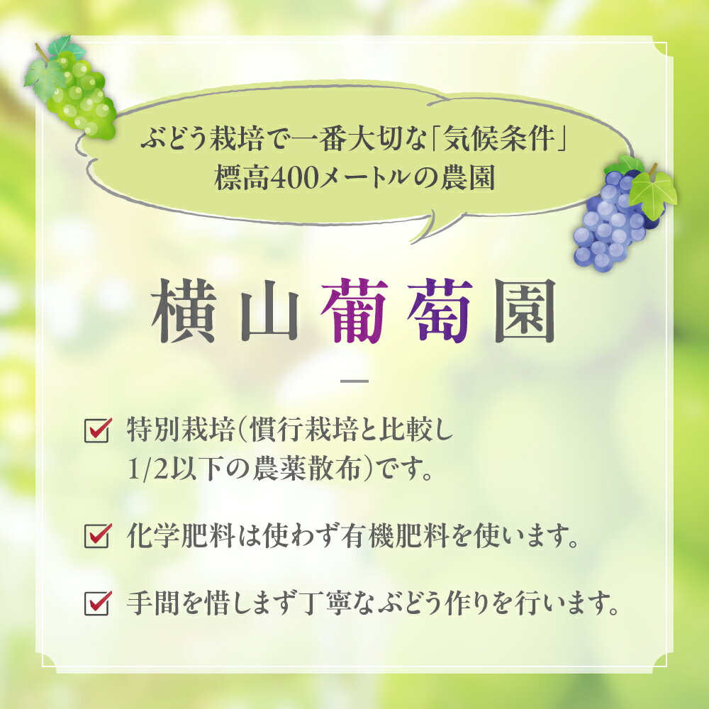 【ふるさと納税】【来年（2026年/令和8年）発送＜先行予約＞】特別栽培 減農薬 シャインマスカット1.0 ~ 2.7kg / 特選 / 冬発送 CF-1 サムネイル3