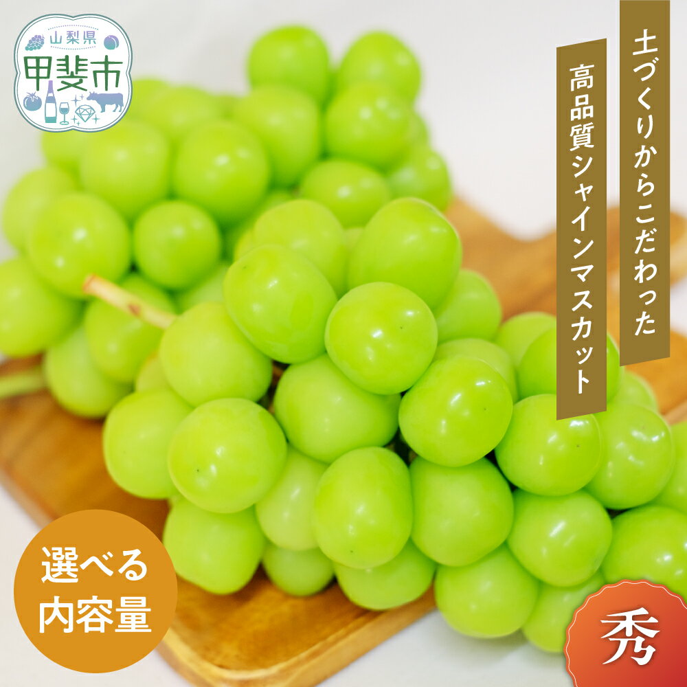 【来年（2026年/令和8年）発送＜先行予約＞】山梨県産 朝採り新鮮 シャインマスカット 1.2kg　 果物 ぶどう フルーツ デザート 旬の果物 国産 　果物 ぶどう フルーツ デザート 食後 おやつ 国産 　シャインマスカット 訳あり 家庭用 山梨県 甲斐市