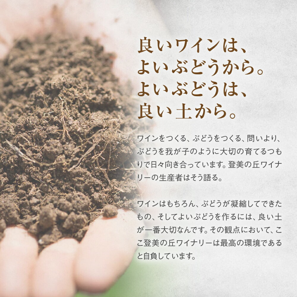 【ふるさと納税】 FROM FARM ザ・セラーエイジド 13年瓶熟 720ml×1本 赤ワイン ワイン カベルネ・ソーヴィニョン ブラック・クイーン お酒 ワイナリー 葡萄 ミディアム ミディアムボディ 山梨県 甲斐市 H-81 サムネイル3