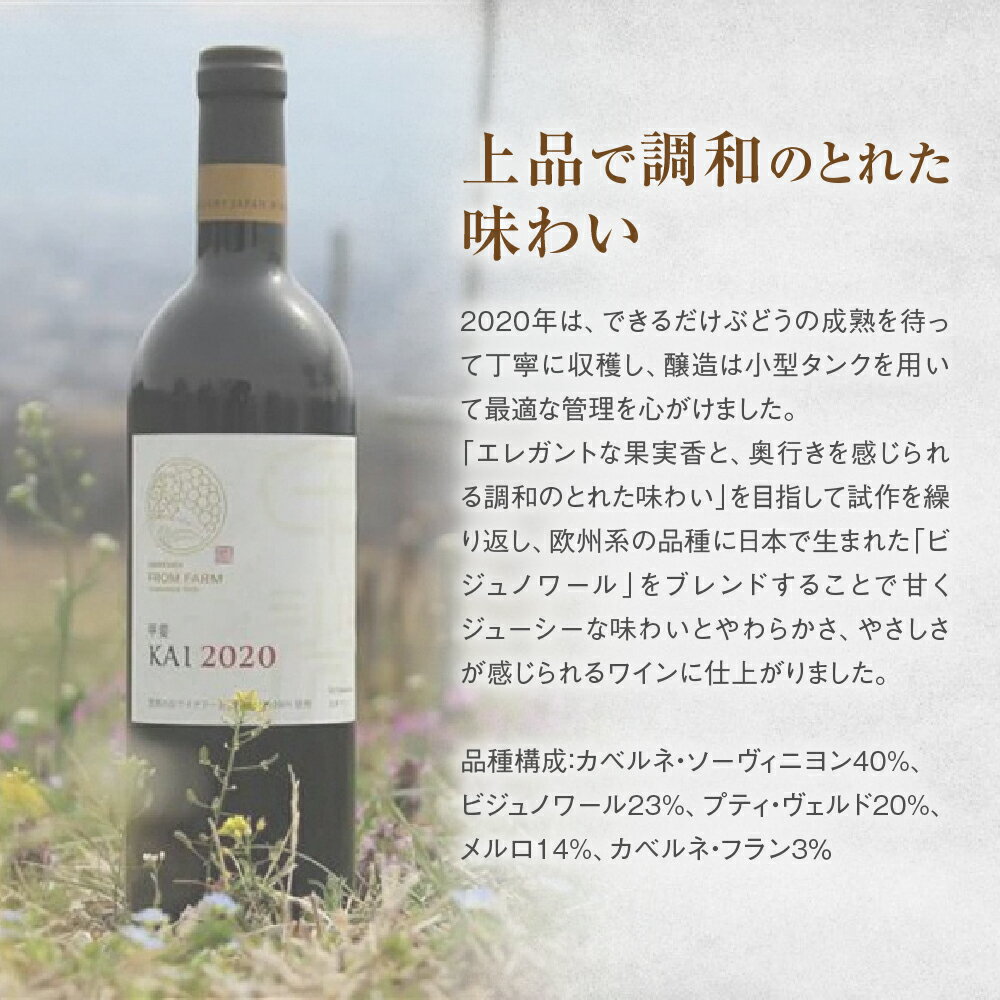 【ふるさと納税】サントリー登美の丘ワイナリー フロムファーム　甲斐　赤　2020 750ml H-75 サムネイル3