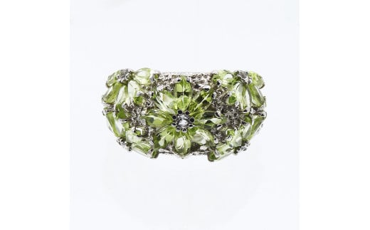 ペリドット リング 4.0ct SV925 (12505)