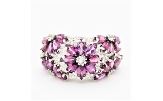 【ふるさと納税】 ロードライトガーネット リング 4.0ct SV925 (12505) サムネイル2