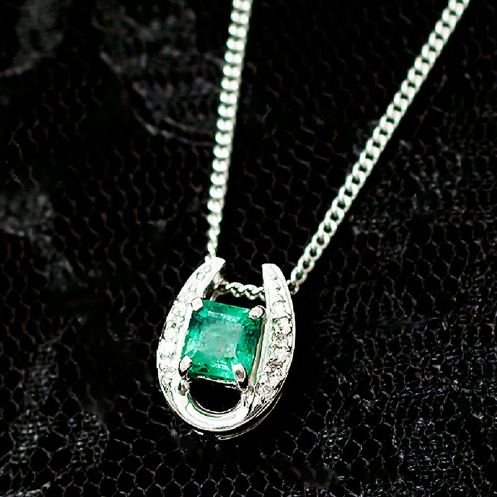 【ふるさと納税】エメラルド ペンダント 0.5ct AG900(PT100) [24118] 馬蹄 ダイヤモンド ネックレス アクセサリー レディース ジュエリー 山梨県甲斐市　お届け：入金確認後、1ヶ月ほどでお届け（年度末は2ヶ月ほどお時間をいただく場合がございます） サムネイル3