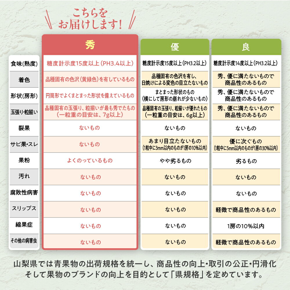 【ふるさと納税】【来年（2026年/令和8年）発送＜先行予約＞】 朝採れ シャインマスカット 約500g～2kg 先行予約 先行 予約 山梨県産 産地直送 フルーツ 果物 くだもの ぶどう ブドウ 葡萄 シャイン シャインマスカット 新鮮 人気 おすすめ 国産 贈答 山梨 甲斐市 AV-1 サムネイル3