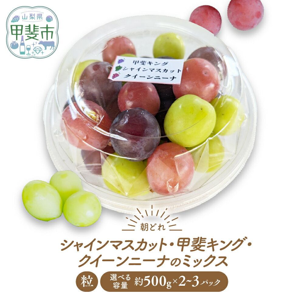 【来年（2026年/令和8年）発送＜先行予約＞】【ご家庭用つぶつぶ】ぶどう3種　約1kg～1.5kg　先行予約 先行 予約 山梨県産 産地直送 フルーツ 果物 くだもの ぶどう ブドウ 葡萄 シャイン シャインマスカット 新鮮 人気 おすすめ 国産 山梨 甲斐市 AV-40