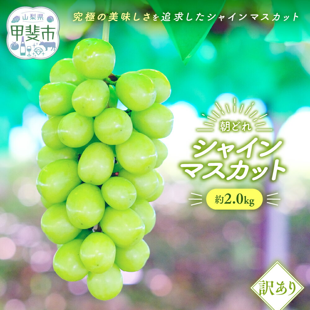 【来年（2026年/令和8年）発送＜先行予約＞】 ご家庭用 訳あり シャインマスカット 2kg 先行予約 先行 予約 訳あり わけあり 山梨県産 産地直送 フルーツ 果物 くだもの ぶどう 葡萄 シャインマスカット 新鮮 人気 おすすめ 国産 贈答 山梨 甲斐市 AV-22