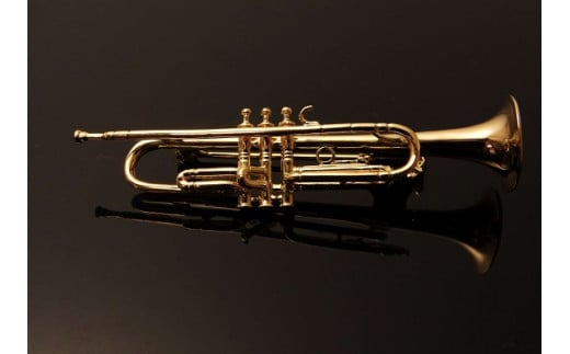 【ふるさと納税】 K18　トランペットブローチ　AB00278 サムネイル3