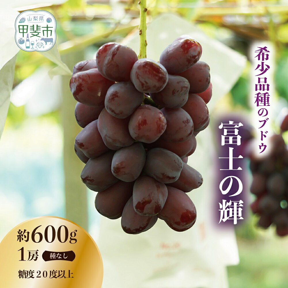 【来年（2026年/令和8年）発送＜先行予約＞】希少品種　有機栽培にこだわった選りすぐりのぶどう　富士の輝　1房600g以上　山梨県産　産地直送　フルーツ　果物　ぶどう　葡萄　新鮮　おすすめ　国産　贈答　ギフト　山梨　甲斐市　CQ-1