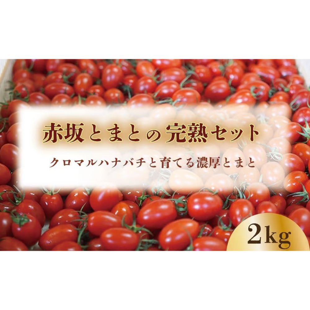【期間限定（3〜7月）】赤坂とまとの完熟セット　DE-1