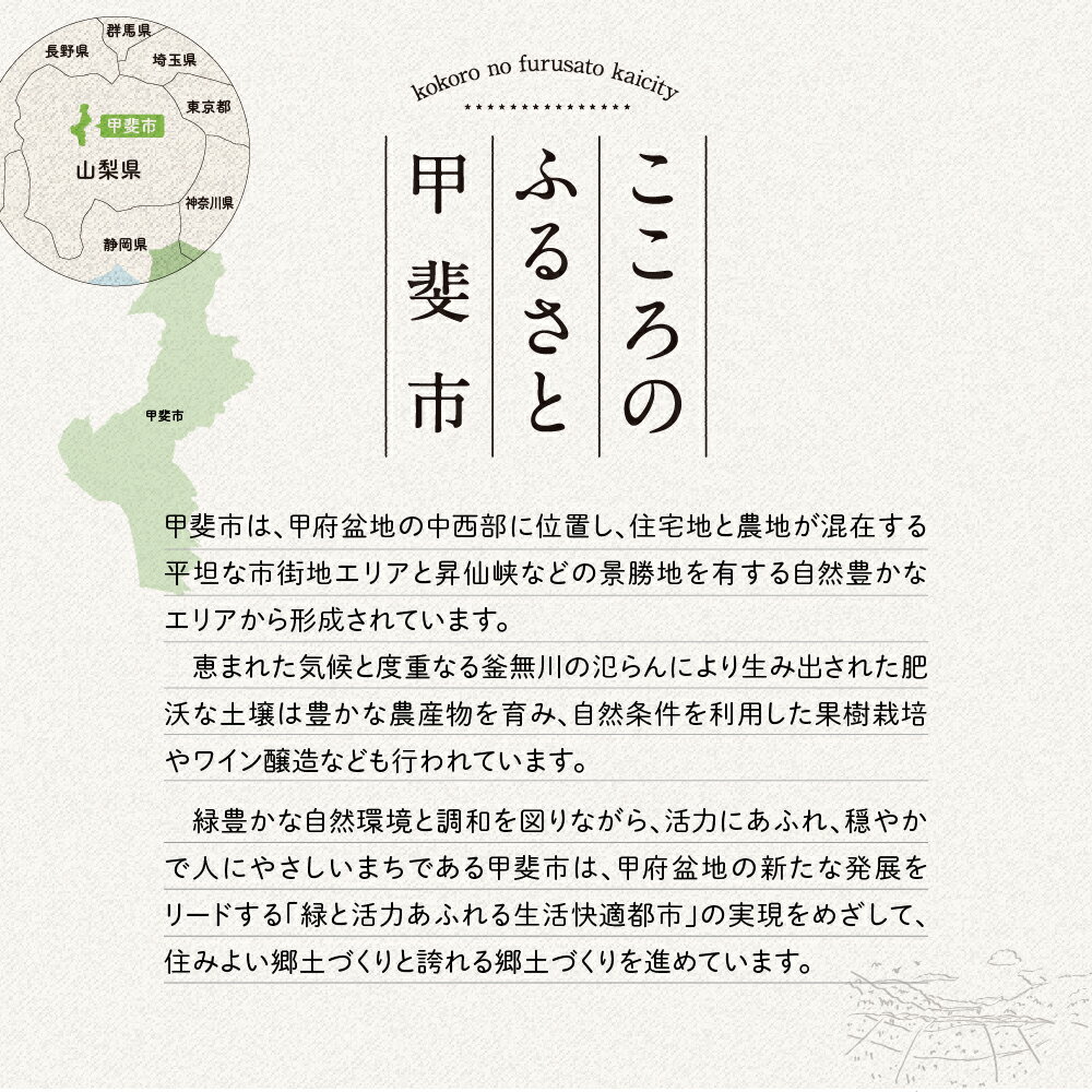 【ふるさと納税】 Pt999 プラチナ パパラチアサファイヤ ダイヤモンド ペンダント AQ-66 SJ-224 サムネイル3