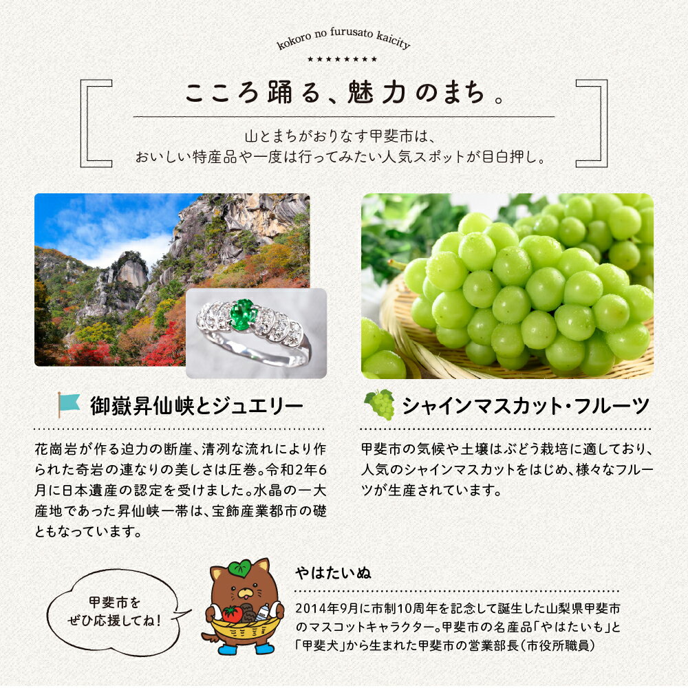 【ふるさと納税】 Pt999 プラチナ ロイヤルブルーサファイア ダイヤモンド ペンダント AQ-91 SJ-250 サムネイル3