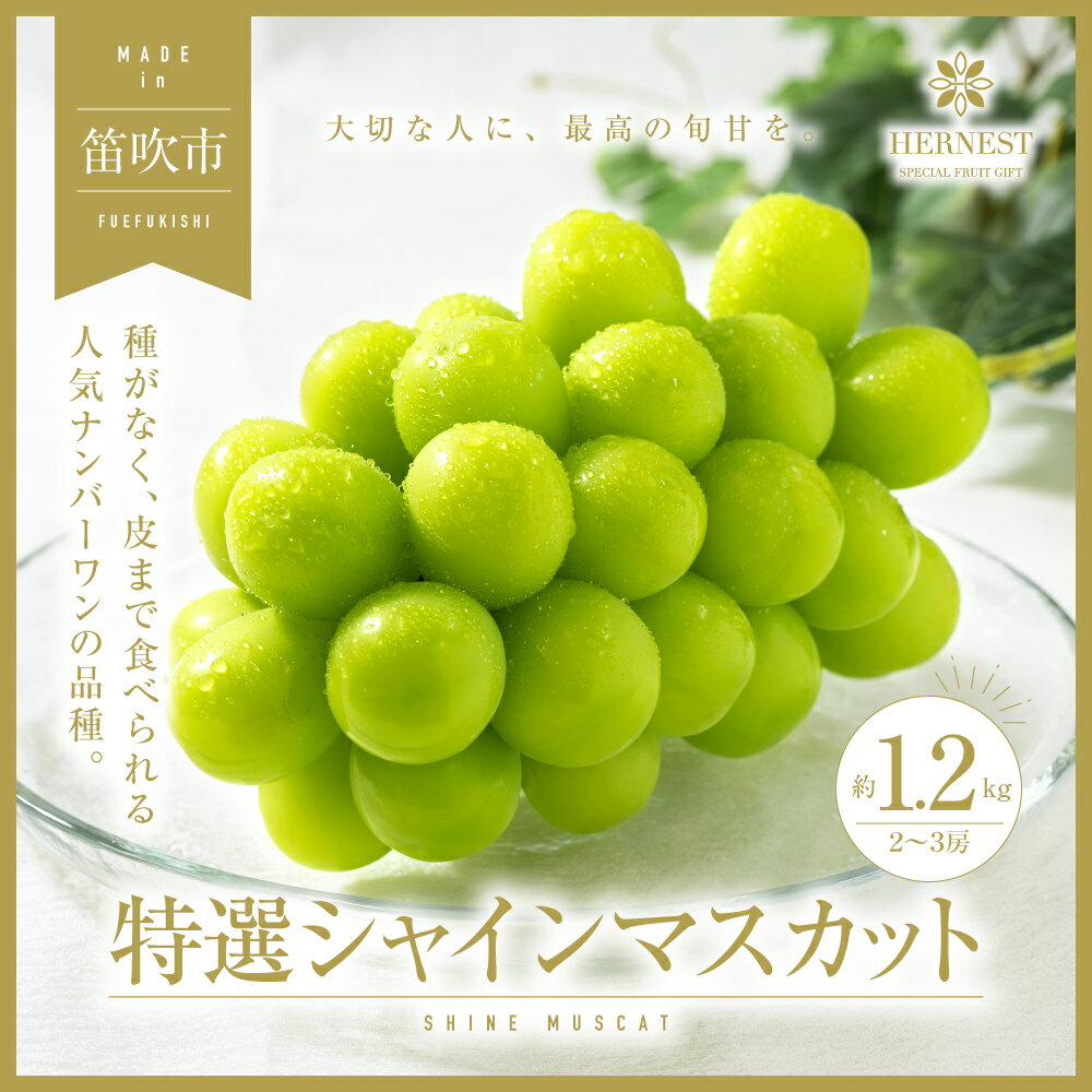 ＜25年発送＞【2026年発送★先行予約】山梨県笛吹市 特選 旬の採れたてシャインマスカット 約1.2kg 2〜3房 ふるさと納税 シャインマスカット 笛吹市 国産 人気 ぶどう ブドウ 葡萄 贈り物 プレゼント 旬 果物 フルーツ 山梨県 送料無料 105-001