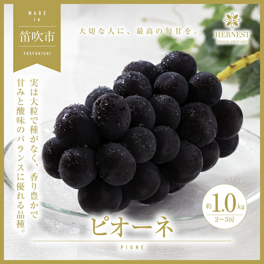 【2026年発送★先行予約】山梨県笛吹市産　旬の採れたてピオーネ　約1kg　2〜3房 ふるさと納税 おすすめ ランキング ピオーネ 笛吹市 国産 人気 期間限定 ぶどう ブドウ 葡萄 旬 果物 フルーツ 山梨県 送料無料 105-014