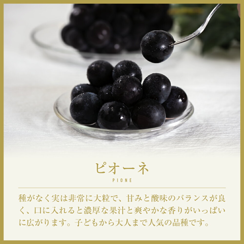 【ふるさと納税】【2026年発送★先行予約】山梨県笛吹市産　旬の採れたてピオーネ　約1kg　2〜3房 ふるさと納税 おすすめ ランキング ピオーネ 笛吹市 国産 人気 期間限定 ぶどう ブドウ 葡萄 旬 果物 フルーツ 山梨県 送料無料 105-014 サムネイル3