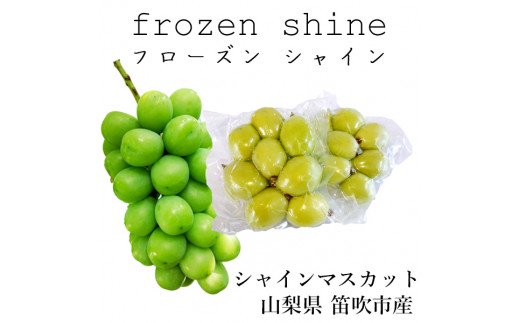 【ふるさと納税】 フローズンシャインマスカット 100g×5袋 ふるさと納税 おすすめ ランキング シャインマスカット フローズン 笛吹市 国産 人気 期間限定 ぶどう ブドウ 葡萄 旬 果物 フルーツ 山梨県 送料無料　098-001 サムネイル3
