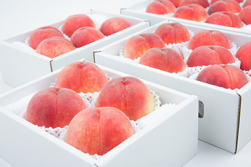 【ふるさと納税】＜25年発送先行予約＞&【2026年発送★先行予約】 やまなし旬の果実 笛吹の朝採り桃 【選べる重量1.5〜3kg】 ふるさと納税 もも 桃 笛吹市 国産 人気 期間限定 果物 フルーツ 旬 山梨県 ギフト 贈答 プレゼント 高評価 リピート 送料無料 065-017 サムネイル2