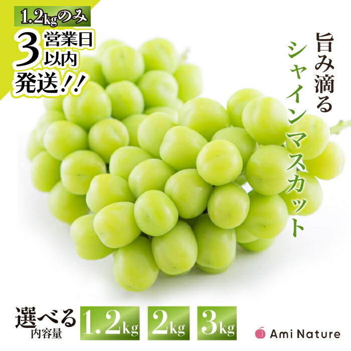 ★スピード発送★＜25年発送＞【2026年発送★先行予約】さわやかに滴る シャインマスカット 2kg~3kg 数量限定 無くなり次第終了シャインマスカット 笛吹市 国産 人気 期間限定 ぶどう ブドウ 葡萄 旬 果物 フルーツ 山梨県 送料無料 065-023
