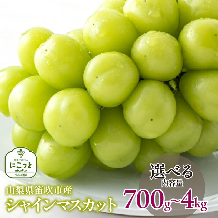 【2026年発送★先行予約】笛吹市産 シャインマスカット【選べる容量 700g〜】 笛吹市 国産シャインマスカット 葡萄 果物 甘い デザート おやつ 山梨県 送料無料 097-004