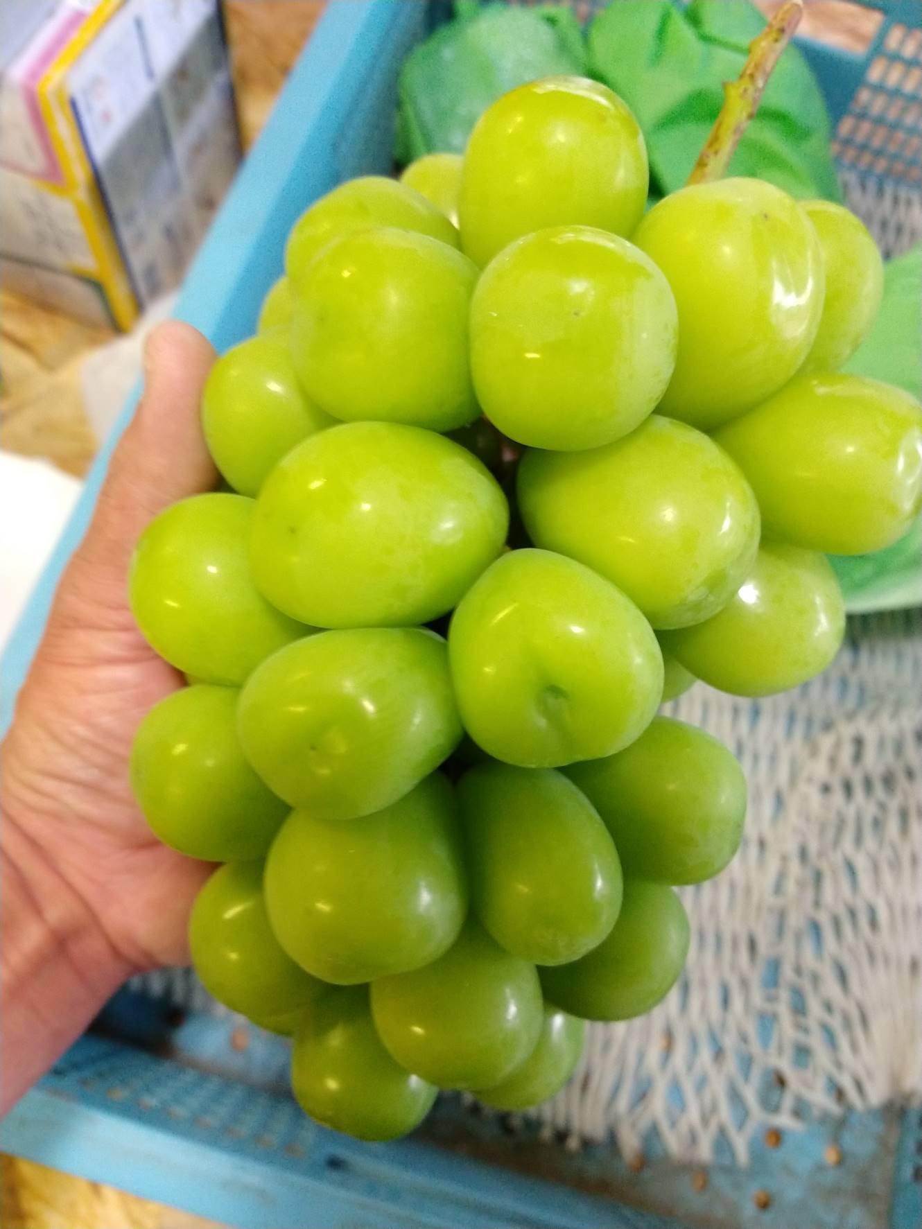 【ふるさと納税】【2026年発送★先行予約】笛吹市産 シャインマスカット【選べる容量 700g〜】 笛吹市 国産シャインマスカット 葡萄 果物 甘い デザート おやつ 山梨県 送料無料 097-004 - 画像2