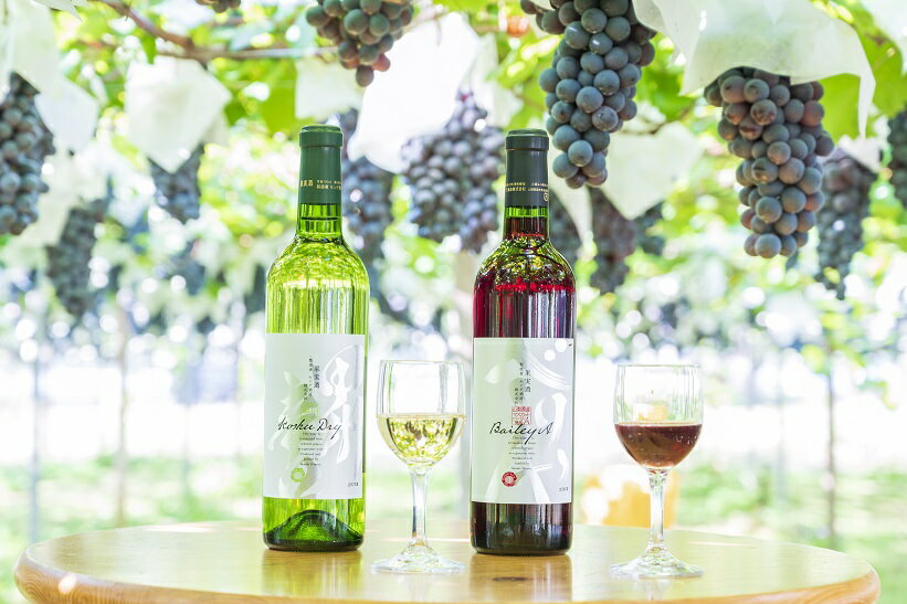 【ふるさと納税】【モンデ酒造ふるさと納税】ワイン甲州辛口 ベリーA2本セット ふるさと納税 ワイン 笛吹市 山梨ワイン 酒 アルコール 山梨県 記念品 お祝い 送料無料 018-004 サムネイル2