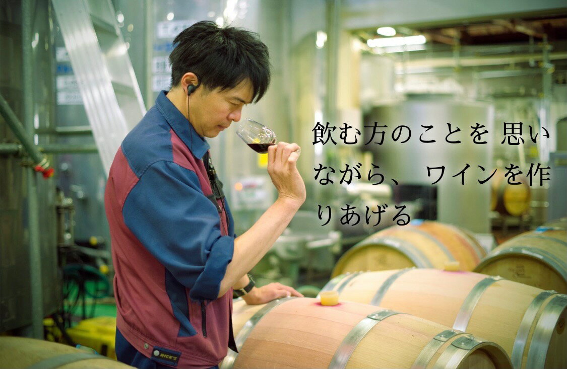 【ふるさと納税】【モンデ酒造ふるさと納税】ワイン甲州辛口 ベリーA2本セット ふるさと納税 ワイン 笛吹市 山梨ワイン 酒 アルコール 山梨県 記念品 お祝い 送料無料 018-004 サムネイル3