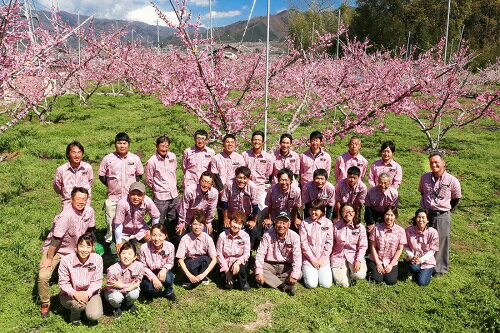 【ふるさと納税】山梨県産 シャインマスカット 100％ワイン750ml×1本 ふるさと納税 ワイン シャインマスカット 笛吹市 山梨ワイン 酒 アルコール 山梨県 記念品 お祝い 送料無料 088-008 サムネイル3
