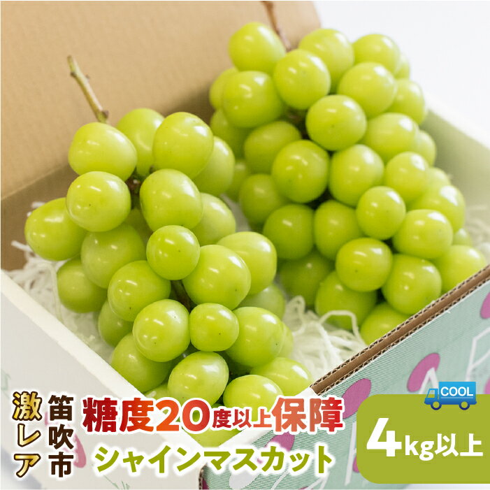 【2026年発送★先行予約】激レア！！シャインマスカット糖度20度以上保障 4kg以上 ふるさと納税 シャインマスカット 笛吹市 国産 人気 期間限定 ぶどう ブドウ 葡萄 旬 果物 フルーツ 山梨県 送料無料 106-005