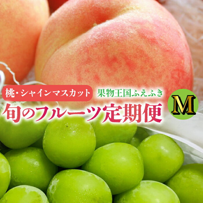 通年定期便★ふえふき旬のフルーツ（桃・シャインマスカット）【M】 ★楽天限定★ふるさと納税 おすすめ ランキング もも 桃 笛吹市 国産 人気 期間限定 果物 フルーツ おやつ デザート ピーチ 旬 山梨県 送料無料 109-014