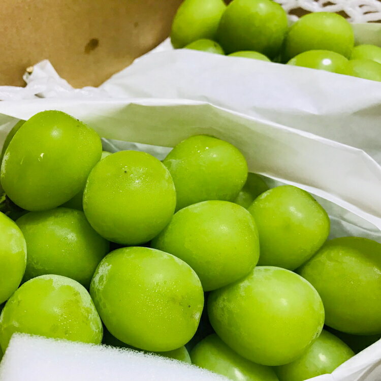 【ふるさと納税】【2026年発送★先行予約】農園直送！濃厚シャインマスカット 約5.0kg※クール便配送 ふるさと納税 おすすめ ランキング シャインマスカット 笛吹市 国産 人気 期間限定 ぶどう ブドウ 葡萄 旬 果物 フルーツ 山梨県 送料無料 109-005 サムネイル3