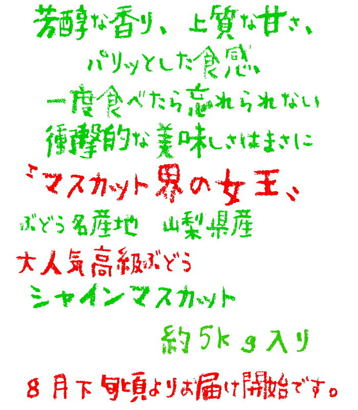 【ふるさと納税】【2026年発送★先行予約】農園直送！濃厚シャインマスカット 約5.0kg※クール便配送 ふるさと納税 おすすめ ランキング シャインマスカット 笛吹市 国産 人気 期間限定 ぶどう ブドウ 葡萄 旬 果物 フルーツ 山梨県 送料無料 109-005 サムネイル2