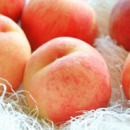 【ふるさと納税】通年定期便★ふえふき旬のフルーツ（桃・シャインマスカット）【M】 ★楽天限定★ふるさと納税 おすすめ ランキング もも 桃 笛吹市 国産 人気 期間限定 果物 フルーツ おやつ デザート ピーチ 旬 山梨県 送料無料 109-014 サムネイル3