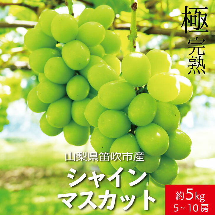 ＜25年発送＞【2026年発送★先行予約】☆絶品☆ シャインマスカット 5-10房約5.0kg ふるさと納税 おすすめ ランキング シャインマスカット 笛吹市 国産 人気 期間限定 ぶどう 葡萄 果物 甘い デザート おやつ 山梨県 送料無料 090-006