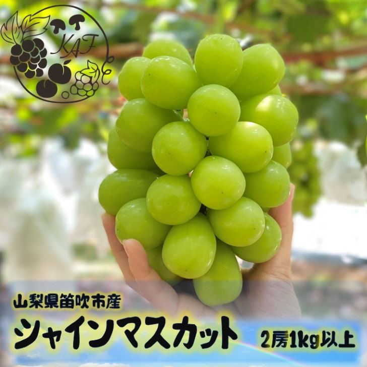【2026年発送★先行予約】笛吹市産シャインマスカット1キロ以上（2房） ふるさと納税 シャインマスカット 大粒 笛吹市 国産 人気 期間限定 ぶどう ブドウ 葡萄 贈り物 ギフト プレゼント 旬 果物 フルーツ 山梨県 送料無料 113-003