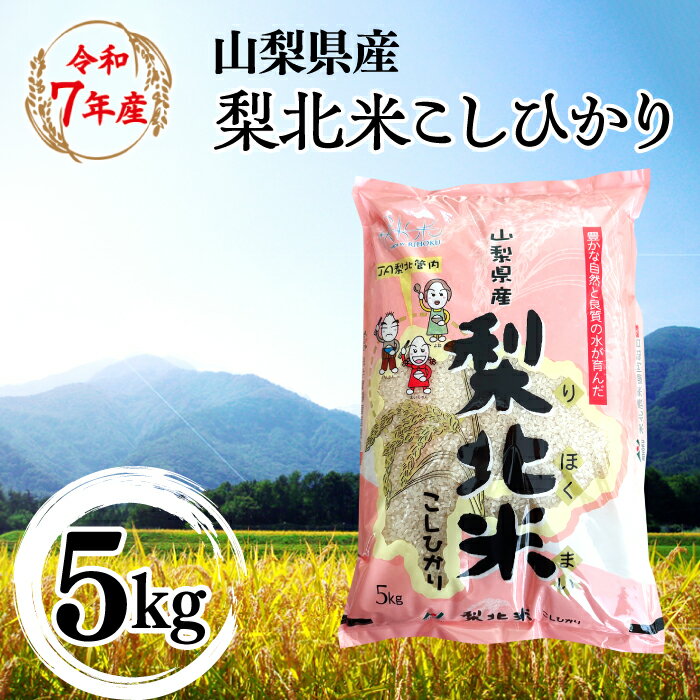 【山梨のブランド米】 山梨県産 梨北米こしひかり　5kg 米 ふるさと納税 精米 国産 送料無料 コメ こめ ブランド米 送料無料 お取り寄せ ごはん ご飯 ギフト 贈り物 プレゼント 山梨県 送料無料 115-008