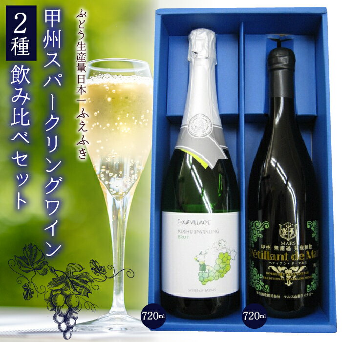 甲州スパークリングワイン飲み比べセット ふるさと納税 ワイン 笛吹市 山梨ワイン 酒 アルコール 山梨県 記念品 お祝い 送料無料 135-004