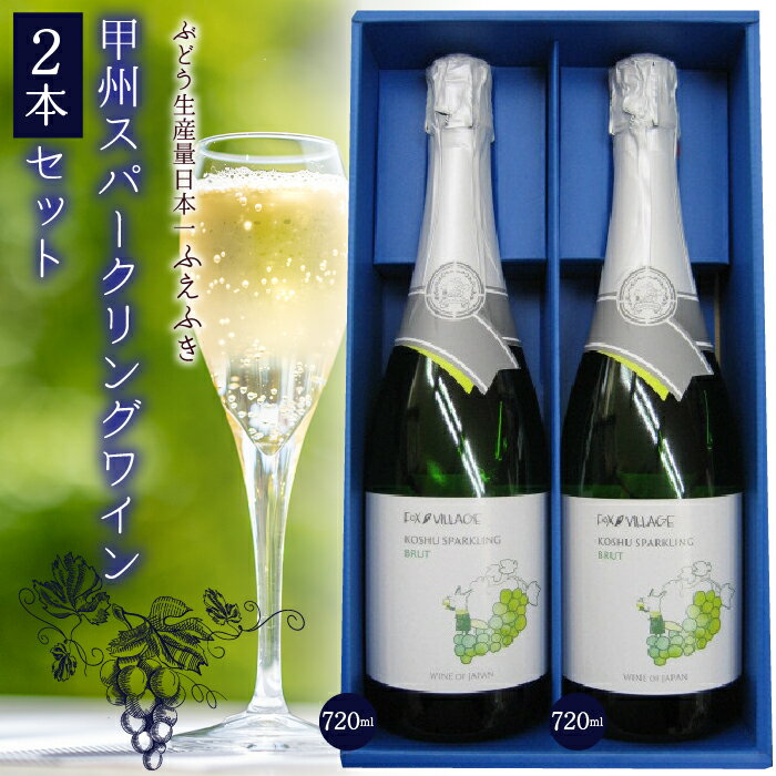 甲州スパークリングワイン　2本セット ふるさと納税 ワイン 笛吹市 山梨ワイン 酒 アルコール 山梨県 記念品 お祝い 送料無料 135-005