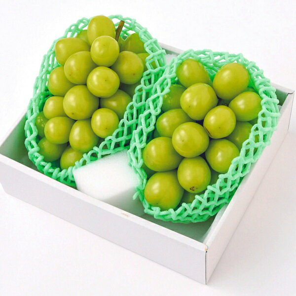 【ふるさと納税】【2026年発送★先行予約】シャインマスカット　2〜3房1.2kg以上　クール便対応★ ふるさと納税 人気 おすすめ ランキング シャインマスカット 国産 人気 期間限定 ぶどう ブドウ 葡萄 旬 果物 フルーツ 山梨県 笛吹市 送料無料 136-011 - 画像2