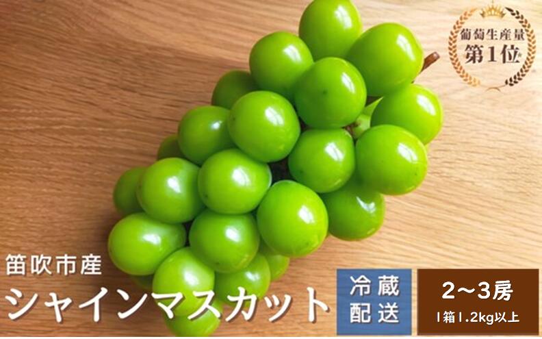 【2026年発送★先行予約】シャインマスカット　2〜3房1.2kg以上　クール便対応★ ふるさと納税 人気 おすすめ ランキング シャインマスカット 国産 人気 期間限定 ぶどう ブドウ 葡萄 旬 果物 フルーツ 山梨県 笛吹市 送料無料 136-011