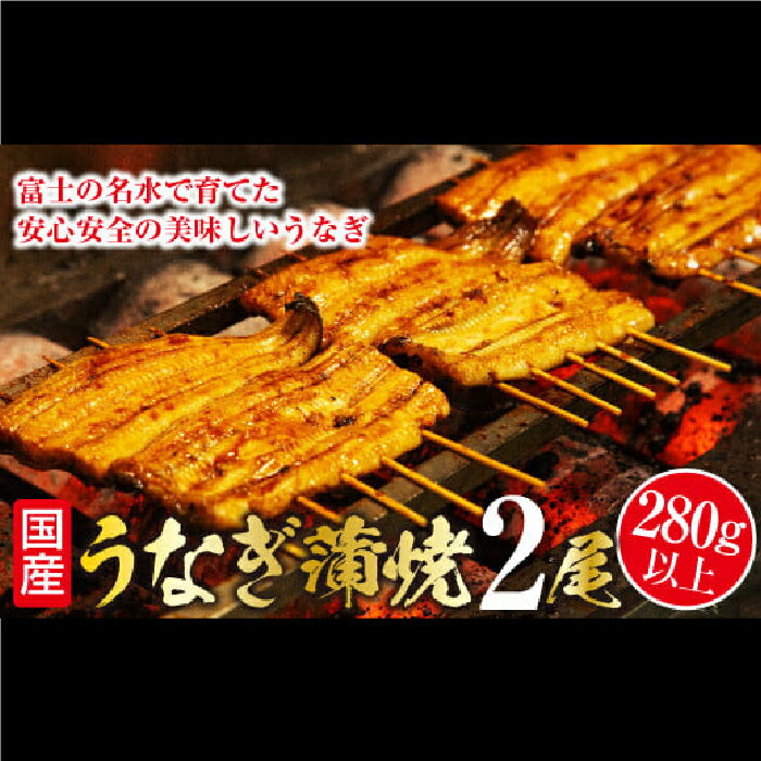 うなぎの蒲焼 （2尾280g以上） 富士山脈の地下水で育った希少なウナギ！ 山梨県産 人気 うなぎ ウナギ 鰻 蒲焼 笛吹市 土用の丑の日 送料無料 お中元 帰省 高評価 贈答 ギフト 贅沢 豪華 ビタミン スタミナ 夏バテ 138-007