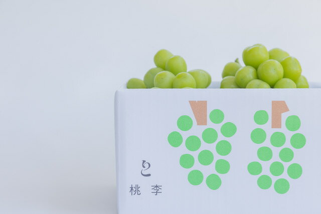 【ふるさと納税】【2026年発送★先行予約】シャインマスカット約1.1kg（2~3房） ふるさと納税 人気 おすすめ ランキング シャインマスカット 国産 人気 期間限定 ぶどう ブドウ 葡萄 旬 果物 フルーツ 山梨県 笛吹市 送料無料 122-013 - 画像3