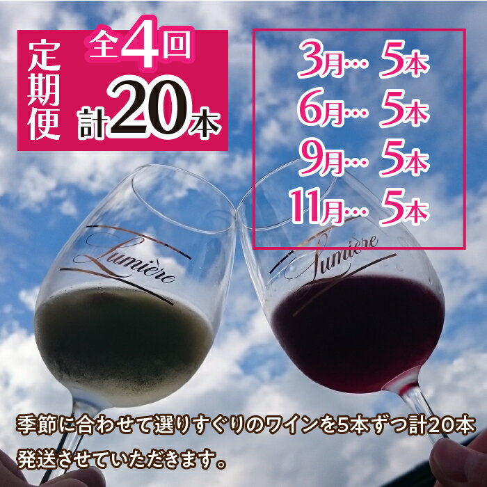 【ふるさと納税】ルミエール 〜ワイン定期便〜 《フルコース》ふるさと納税 ワイン 笛吹市 山梨ワイン 酒 アルコール 山梨県 記念品 お祝い 送料無料 063-005 サムネイル2