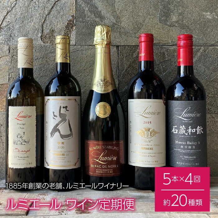 ルミエール 〜ワイン定期便〜 《フルコース》ふるさと納税 ワイン 笛吹市 山梨ワイン 酒 アルコール 山梨県 記念品 お祝い 送料無料 063-005