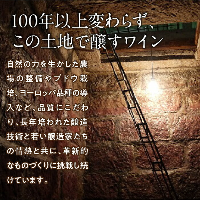 【ふるさと納税】シャトールミエール　赤 ふるさと納税 ワイン 笛吹市 山梨ワイン 酒 アルコール 山梨県 記念品 お祝い 送料無料 063-002 サムネイル3