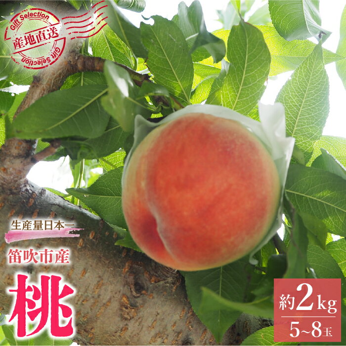 ＜25年発送先行予約＞【2026年発送★先行予約】厳選！山梨県笛吹市産桃 約2kg（5〜8玉） ふるさと納税 人気 おすすめ ランキング もも 桃 国産 人気 期間限定 果物 フルーツ 旬 山梨県 笛吹市 送料無料 156-003