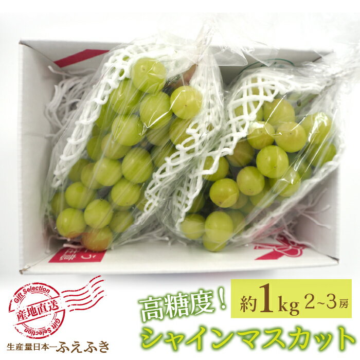 【2026年発送★先行予約】厳選！ 山梨県笛吹市産シャインマスカット 約1.0kg(2〜3房) ふるさと納税 人気 おすすめ ランキング シャインマスカット 国産 人気 期間限定 ぶどう ブドウ 葡萄 旬 果物 フルーツ 山梨県 笛吹市 送料無料 156-009
