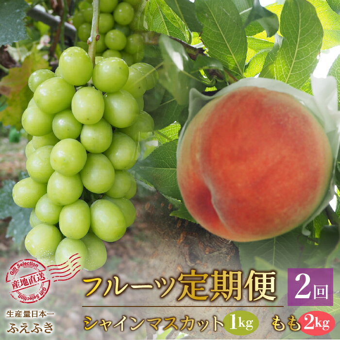 ＜25年発送＞【2026年発送★先行予約】厳選！大人気セット！笛吹市全2回定期便〜もも2kg シャインマスカット1kg〜 ふるさと納税 人気 おすすめ ランキング シャイン 桃 もも 国産 人気 期間限定 ぶどう ブドウ 葡萄 山梨県 笛吹市 送料無料 156-100