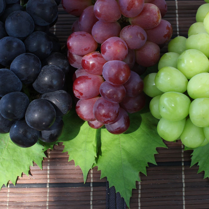 【ふるさと納税】【2026年発送★先行予約】 厳選！シャインマスカット と旬のぶどう3色セット約1.8kg (沖縄・離島配送不可) ランキング 巨峰 ピオーネ 藤稔 クイーンニーナ 人気 おすすめ ギフト 中元 旬 果物 フルーツ 山梨県 笛吹市 送料無料 156-007 - 画像3