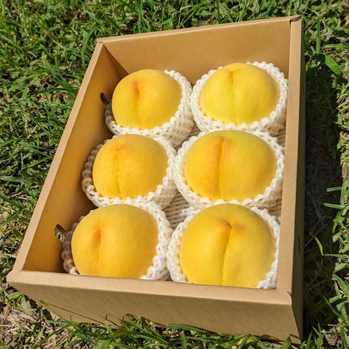 【ふるさと納税】【2026年発送★先行予約】厳選！山梨県笛吹市産 黄金桃 約2kg (5〜8玉) ふるさと納税 笛吹市 国産 人気 期間限定 旬 果物 フルーツ 山梨県 送料無料 156-012 サムネイル2