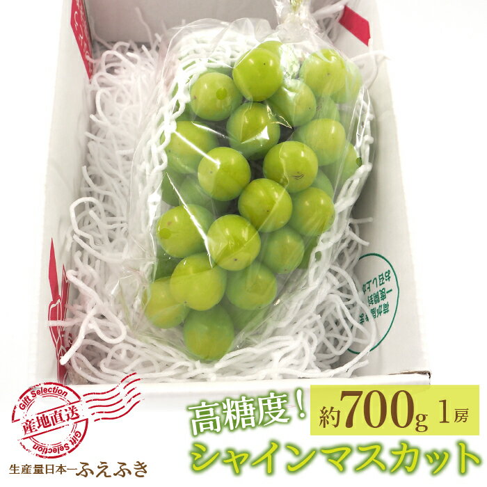 【2026年発送★先行予約】厳選！山梨県笛吹市産 シャインマスカット 約700g（1房） ふるさと納税 人気 おすすめ ランキング シャインマスカット 国産 人気 期間限定 ぶどう ブドウ 葡萄 旬 果物 フルーツ 山梨県 笛吹市 送料無料 156-005
