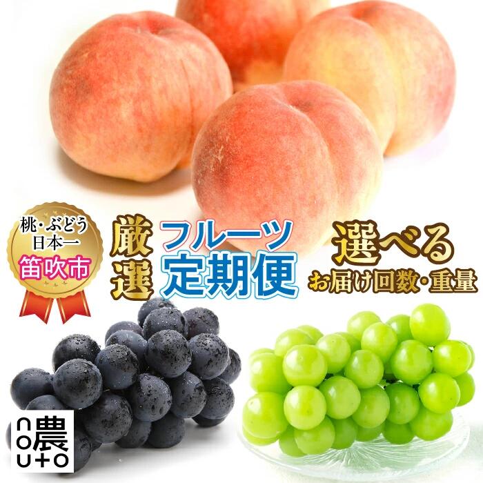 【2026年発送★先行予約】選べる 定期便 フルーツ 2回 3回 桃 巨峰 シャインマスカット 盛り合わせ ぶどう 果物 白桃 白鳳 1kg 2kg 1房 2房 農家直送 朝採れ 山梨県 数量限定 種無し 旬 産地直送 果実 贈答 ギフト 家庭用 6月 7月 8月 154-028/039/100